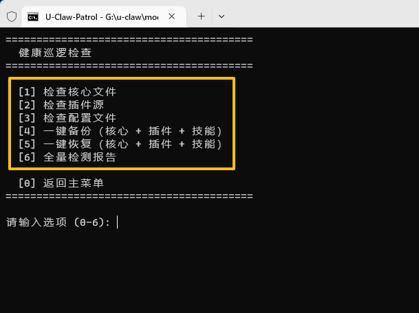 健康巡逻检查界面